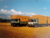 Daf 2800 omgebouwd als strowagen met luifel.